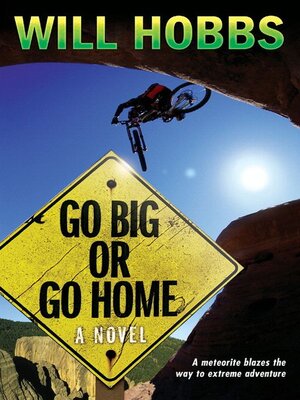 Go Big or Go Home - ebook